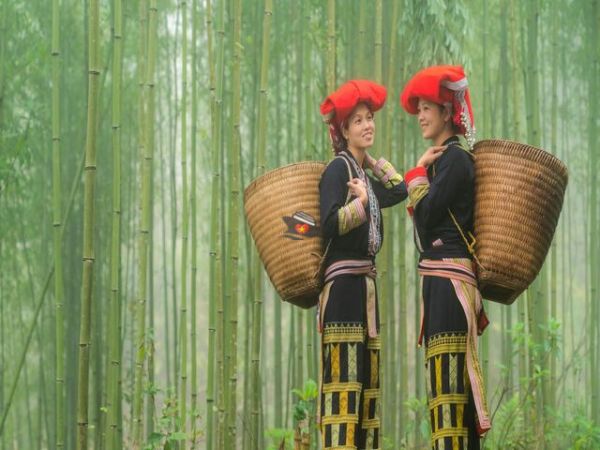 Vietnam Holiday Packages 2023